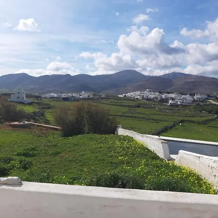 Ktima San Antonio Paros Artemis *